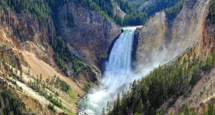 Vue spectaculaire de la Chute inférieure se précipitant dans le Grand Canyon de Yellowstone au milieu des forêts de pins