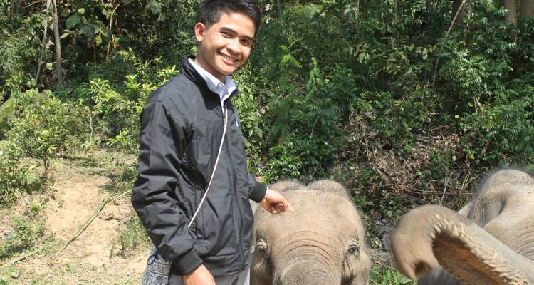 Un visitante sonriente acaricia la trompa de un bebé elefante en un claro del bosque.
