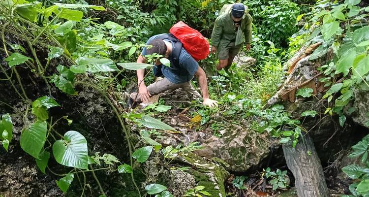 Dos excursionistas se abren paso sobre rocas cubiertas de musgo y raíces de árboles en una garganta de selva húmeda.