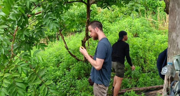 Dos hombres en un claro de bosque tropical exuberante, uno examinando una rama frondosa mientras el otro mira hacia otro lado