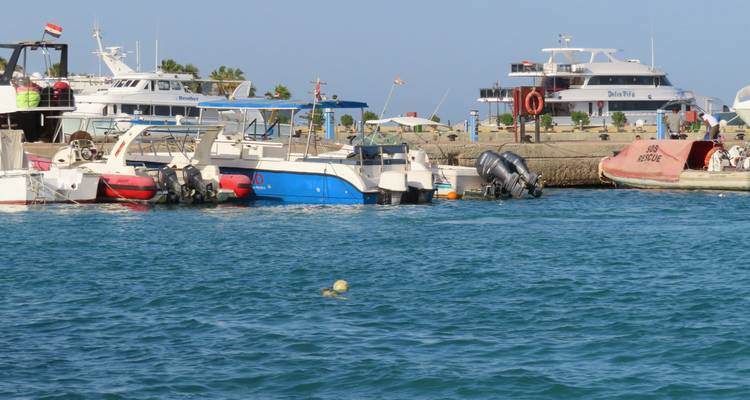 Petite scène de marina avec des vedettes rapides et un yacht de plongée amarrés dans les eaux turquoise du port.