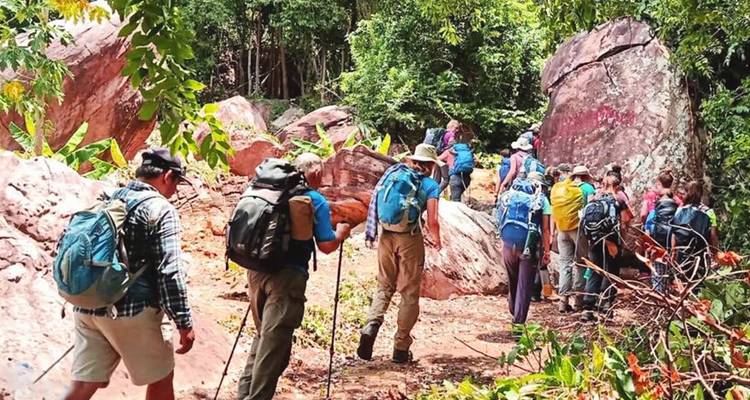 Trekking group with backpacks walking through rocky forest trail