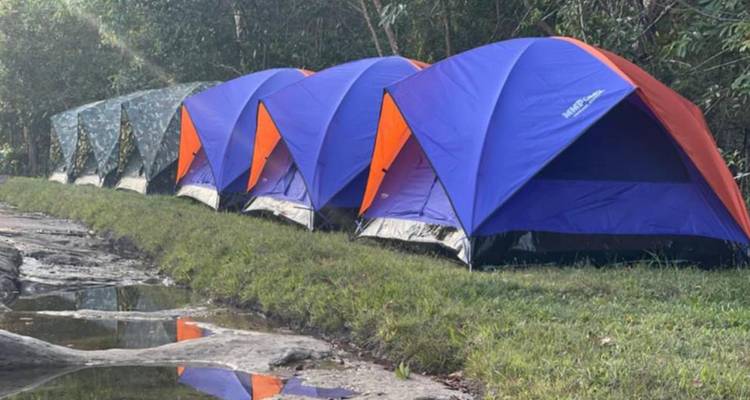 Neat line of colourful dome tents pitched beside a grassy stream