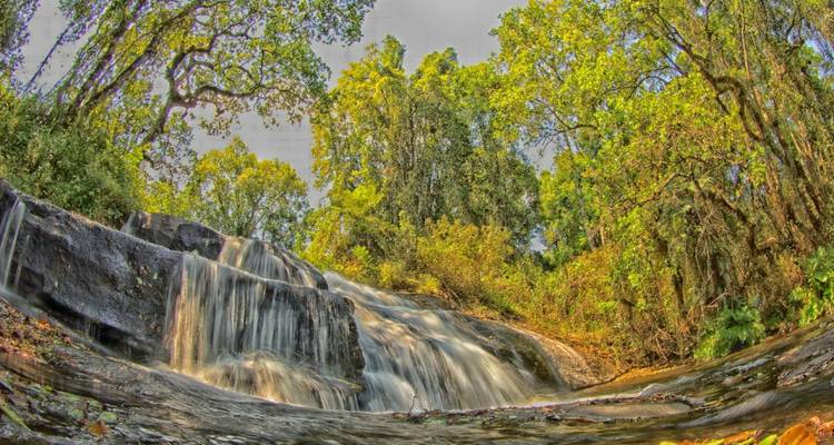 Kleiner kaskadierender Wasserfall, der durch einen üppig grünen Wald fliesst, aufgenommen mit einem breiten Fischauge-Objektiv