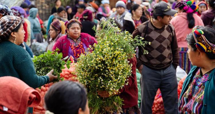 Scène de marché vibrant avec des habitants échangeant des fleurs, des herbes et des produits frais.