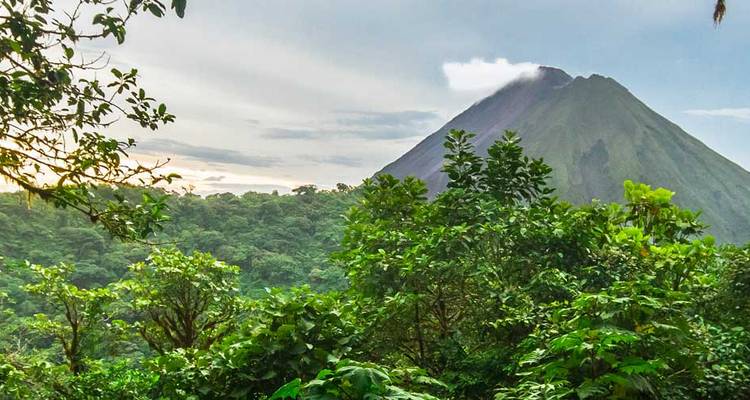Lush jungle framing the iconic conical Arenal Volcano under a muted sky.