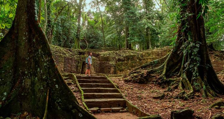 Voyageur explorant les anciennes ruines mayas couvertes par la jungle