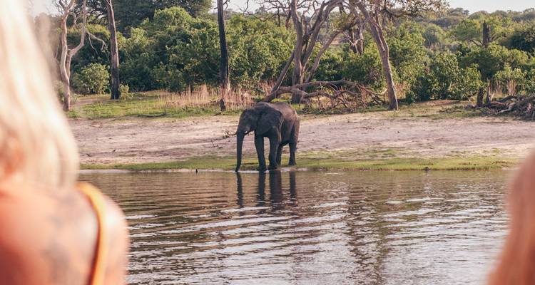 Des touristes à bord d'un bateau observent un éléphant solitaire qui s'abreuve à la berge du fleuve à la lumière de l'après-midi.