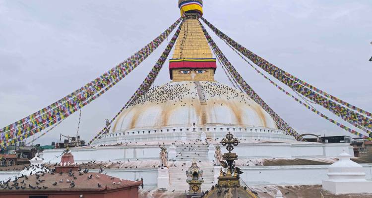 Vista nublada de la Estupa de Boudhanath con innumerables palomas y coloridas banderas de oración.