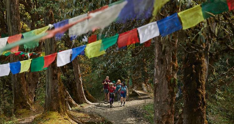 Los senderistas caminan por un sendero del bosque bajo hileras de banderas de oración coloridas en el Himalaya.