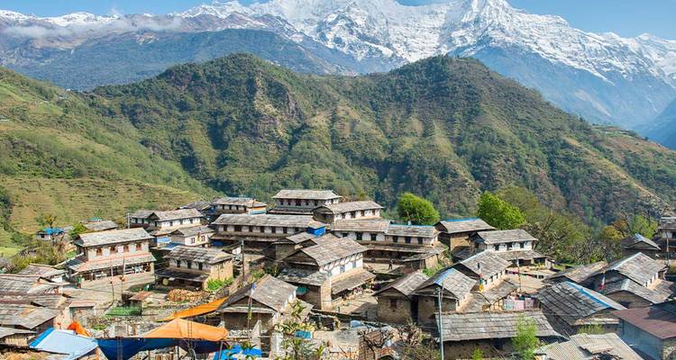 Pueblo tradicional con techos de piedra acurrucado en una ladera verde con los picos nevados del Himalaya elevándose detrás.