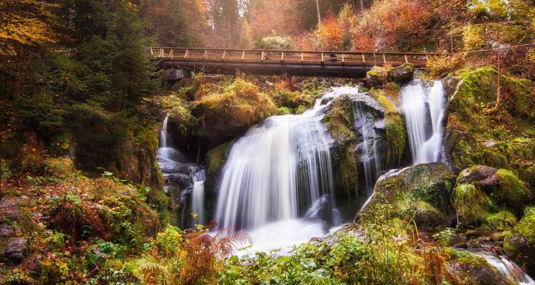 Las cascadas sedosas de la Cascada de Triberg fluyen a través del bosque teñido de colores otoñales bajo un puente de madera.