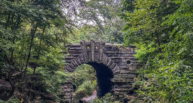 Pont en arc de pierre encadré par une végétation luxuriante le long d'un sentier forestier.