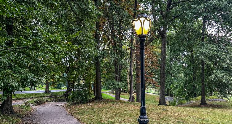 Réverbère de style victorien illuminé le long d'un sentier sinueux dans un parc verdoyant.