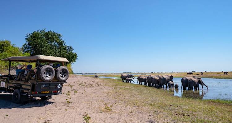 Un véhicule de safari ouvert observe un troupeau d'éléphants s'abreuvant à un point d'eau sous un ciel bleu dégagé.
