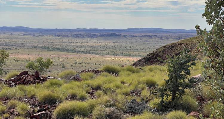 Weitreichende Aussicht über grüne Bergrücken und ausgedehnte Outback-Ebenen unter einem blassen Himmel.
