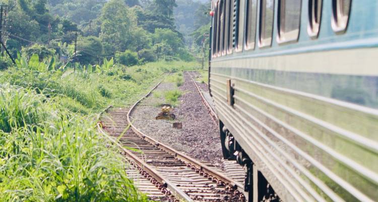 Blauwe passagierstrein die bochten maakt op jungle-sporen, gefotografeerd vanuit een van zijn wagons.
