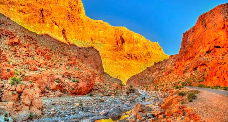 Des parois de canyon orange brillamment éclairées rayonnant au lever du soleil avec un ruisseau rocailleux et un ciel bleu clair au-dessus.