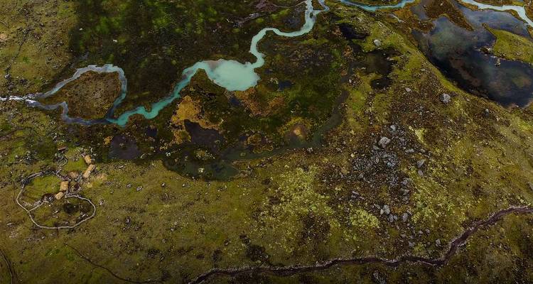 Luchtfoto van kronkelende turkooizen stromen en moerassige hooggebergtepaluizen in de Andes.