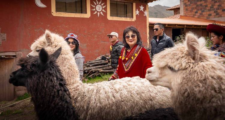 Toeristen die tussen wollige alpaca's staan buiten een geschilderd plattelandsgebouw met Andaanse symbolen