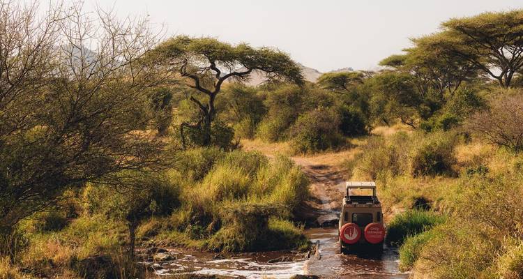 Safariauto die een ondiepe beek oversteekt tussen acacia-bomen