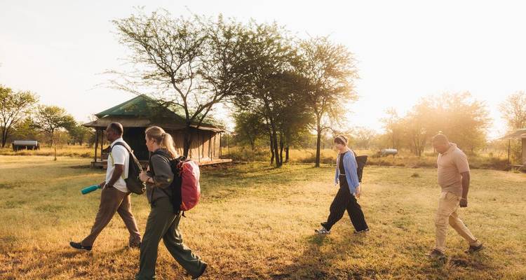 Reisende, die durch einen grasbewachsenen Campingbereich im warmen Morgenlicht mit Akazienbäumen spazieren