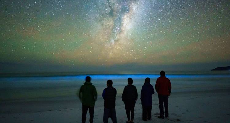 Les silhouettes de cinq personnes se dressent sur une plage tranquille sous un ciel étoilé et une Voie lactée brillante, avec des vagues bioluminescentes qui s'échouent sur le rivage.