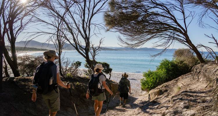 Trois randonneurs munis de bâtons émergent d'un sentier côtier ombragé vers une baie turquoise éclatante bordée par des arbres fouettés par le vent.