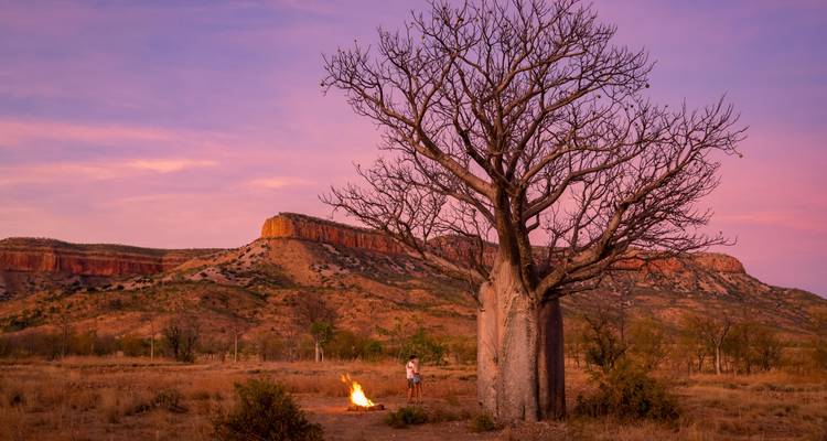 Un campeur solitaire se tient près d'un petit feu de camp à côté d'un grand baobab sous un ciel de coucher de soleil rose et violet avec des mesas escarpées en arrière-plan.