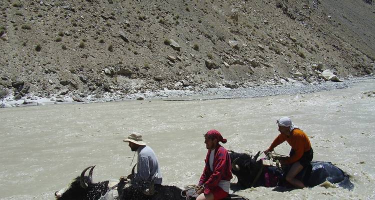 Adventurers mounted on yaks ford a fast-flowing, silty river between barren mountain slopes.