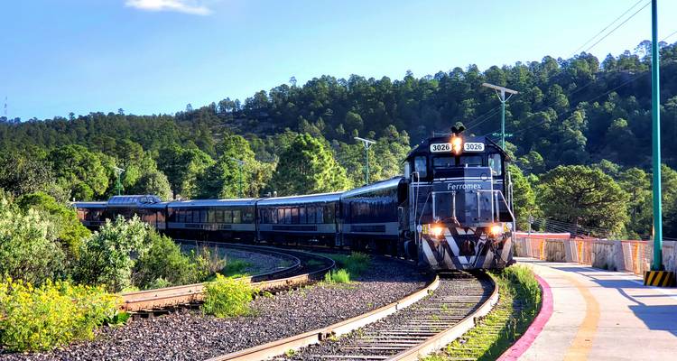 Train de passagers Ferromex serpentant à travers une forêt de pins sur la célèbre ligne ferroviaire du Barranca del Cobre.