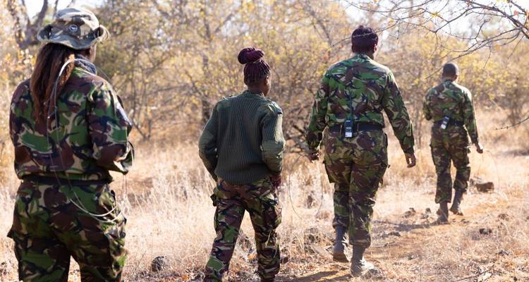 Quatre gardes en uniformes de camouflage marchant le long d'un sentier forestier aride en patrouille.