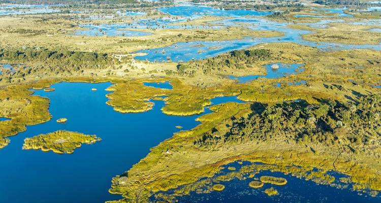 Vue aérienne des cours d'eau sinueux bleus du delta de l'Okavango et de ses îles dorées.