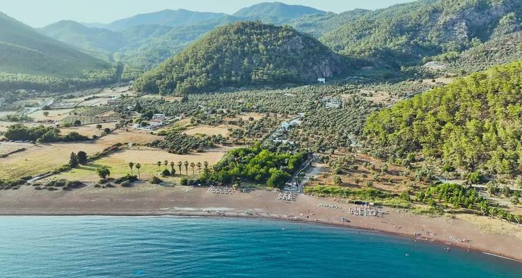 Luchtfoto van de kust met landelijk landbouwgebied, olijfgaarden en een rustig kiezelstrand.