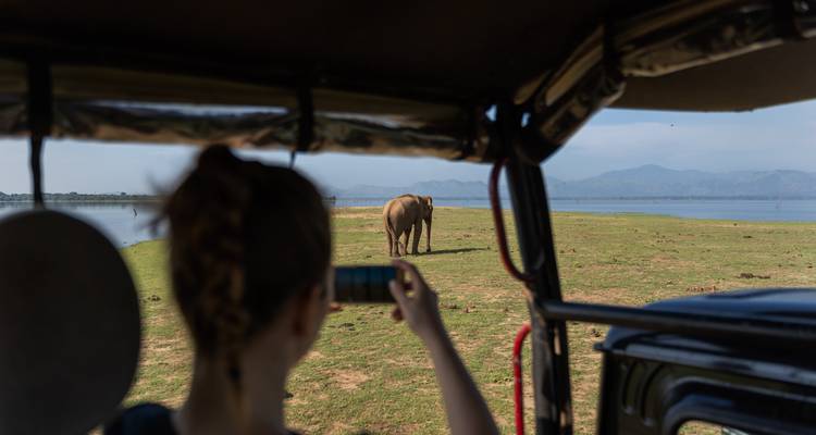 Traveler photographs a lone elephant grazing near a lake while on safari inside an open jeep.
