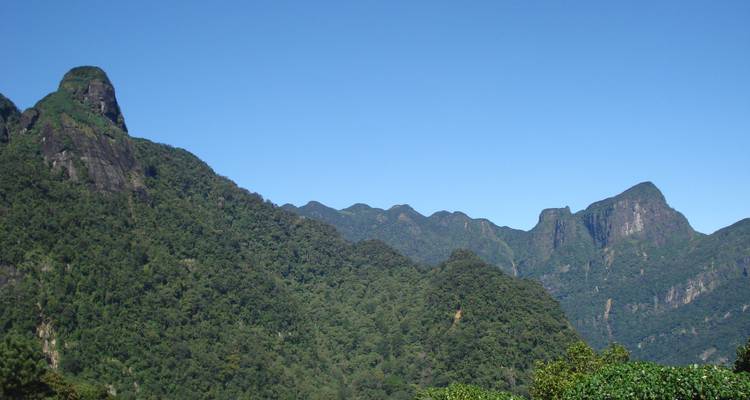 A sweeping view of lush green mountains under a clear blue sky.