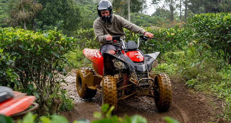 A rider wearing a helmet drives an ATV through a muddy track lined with tea bushes.