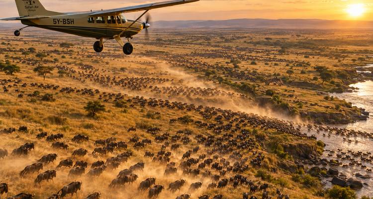 Bovenaanzicht van de eindeloze gnu-migratie terwijl een klein vliegtuig boven stoffige kuddes glijdt.