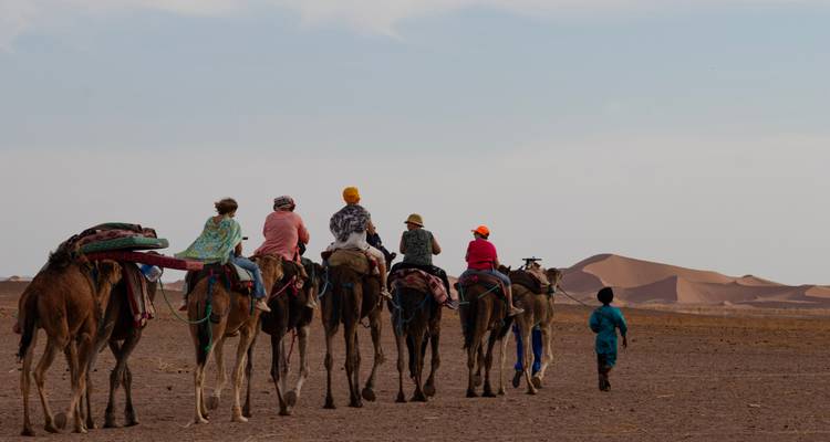 Line of travellers on camels with guide walk across flat desert towards distant dunes under soft sky.