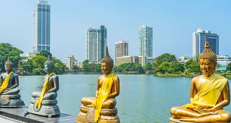 Serene Buddha statues draped in yellow sit beside a lake with Colombo’s modern skyline beyond.
