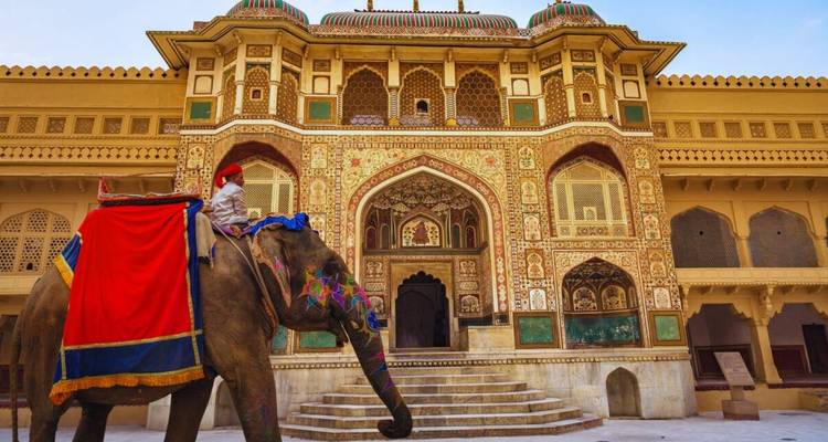 A colorfully decorated elephant with rider stands before the ornate Amber Fort gate.