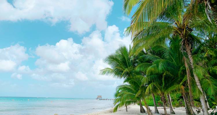 Palm-fringed white beach with gentle waves and distant pier under puffy clouds near Holbox Island.