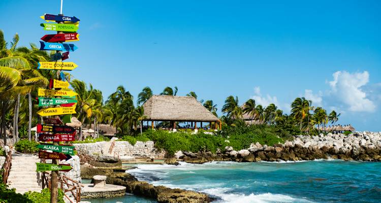 Colourful directional signpost and seaside hut amid palms and rocky coastline with crashing waves.