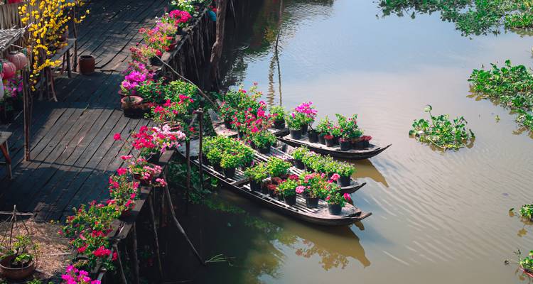 Wooden boats overflowing with vibrant bougainvillea float beside a wooden jetty on a calm tropical canal.