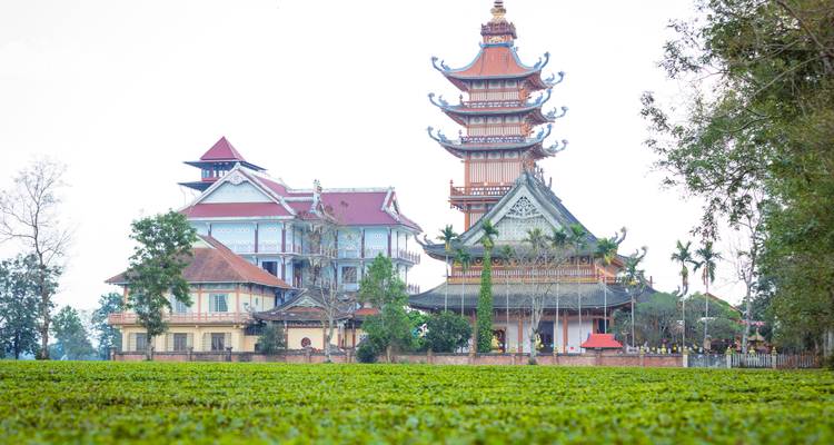 An ornate pagoda complex with tiered roofs rises behind a field of lush green crops under a bright sky.