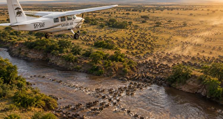 L'avion survole un passage de gnou spectaculaire à la rivière, la poussière s'élevant des vastes troupeaux en migration.