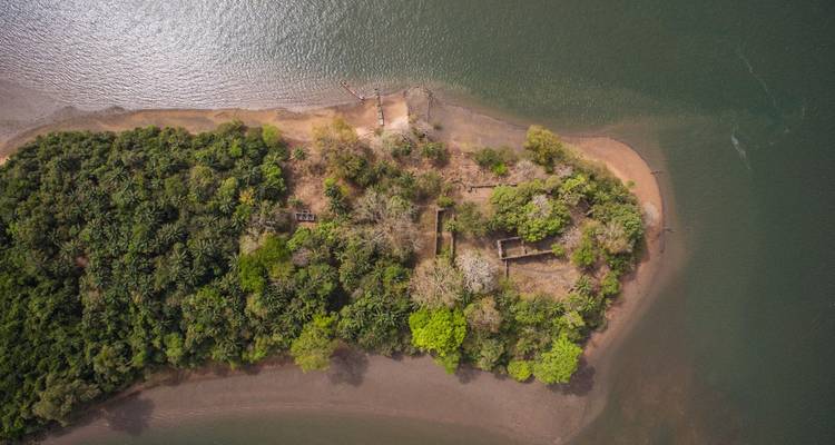 Aerial view of a lush forested peninsula surrounded by brownish river water.