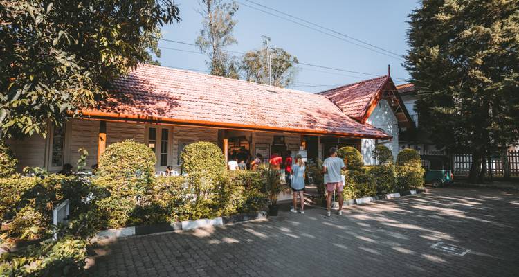 Visitors queued outside quaint wooden cafe building under clear blue sky