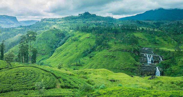 Vista panorámica de colinas verdes ondulantes, campos de té en terrazas y una cascada que cae bajo cielos brumosos.