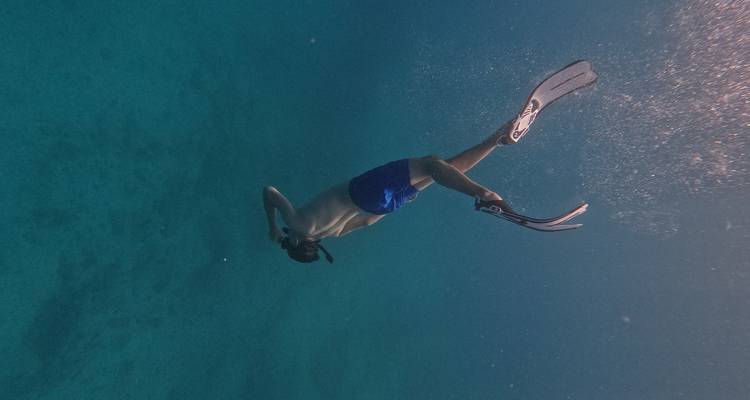 Snorkeller diving head-first into deep blue water wearing fins and mask